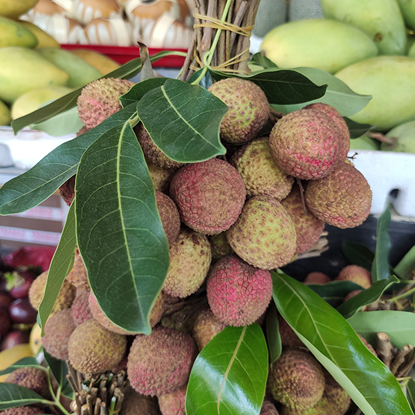 Vải thiều